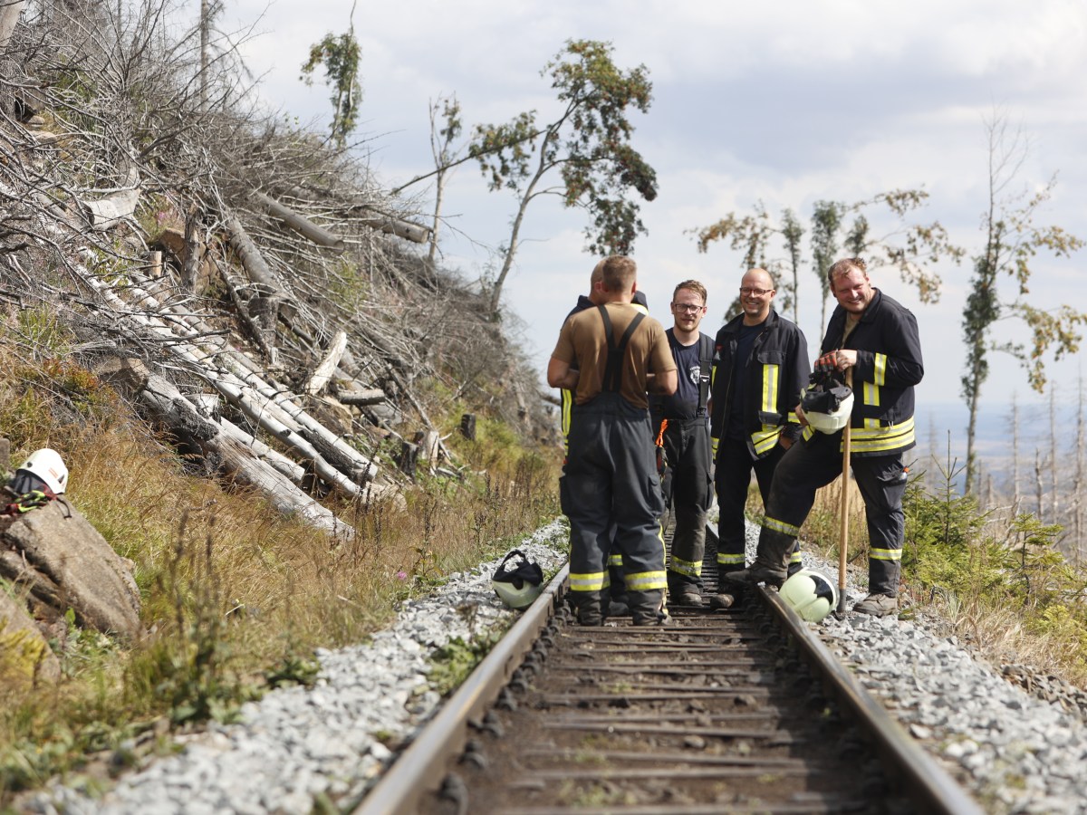 harz brocken brand