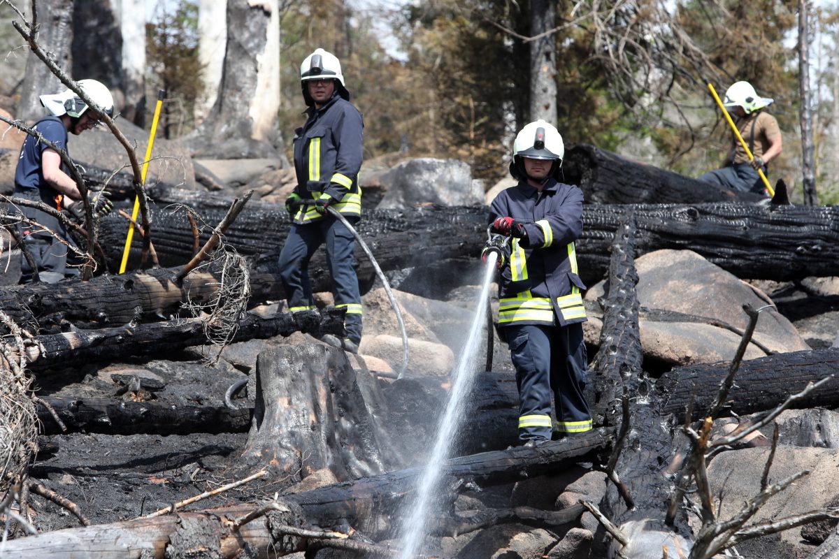 brand brocken harz