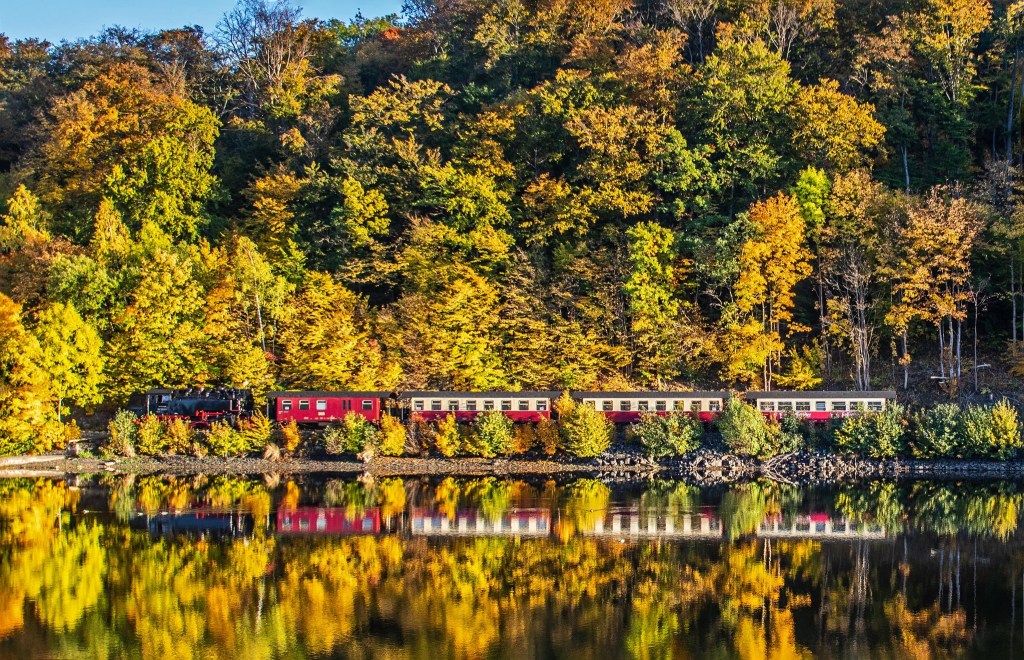 Harz Selketalbahn spiegelt sich im Wasser