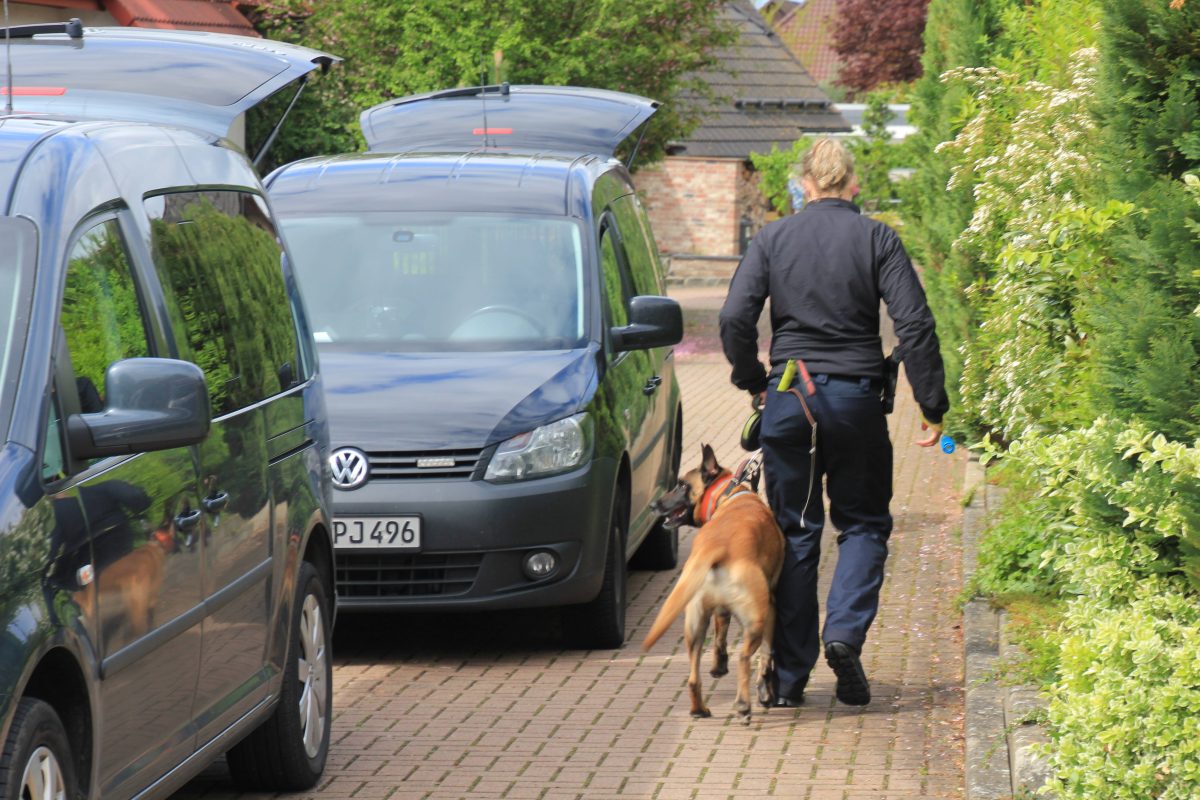 Polizeihunde Braunschweig