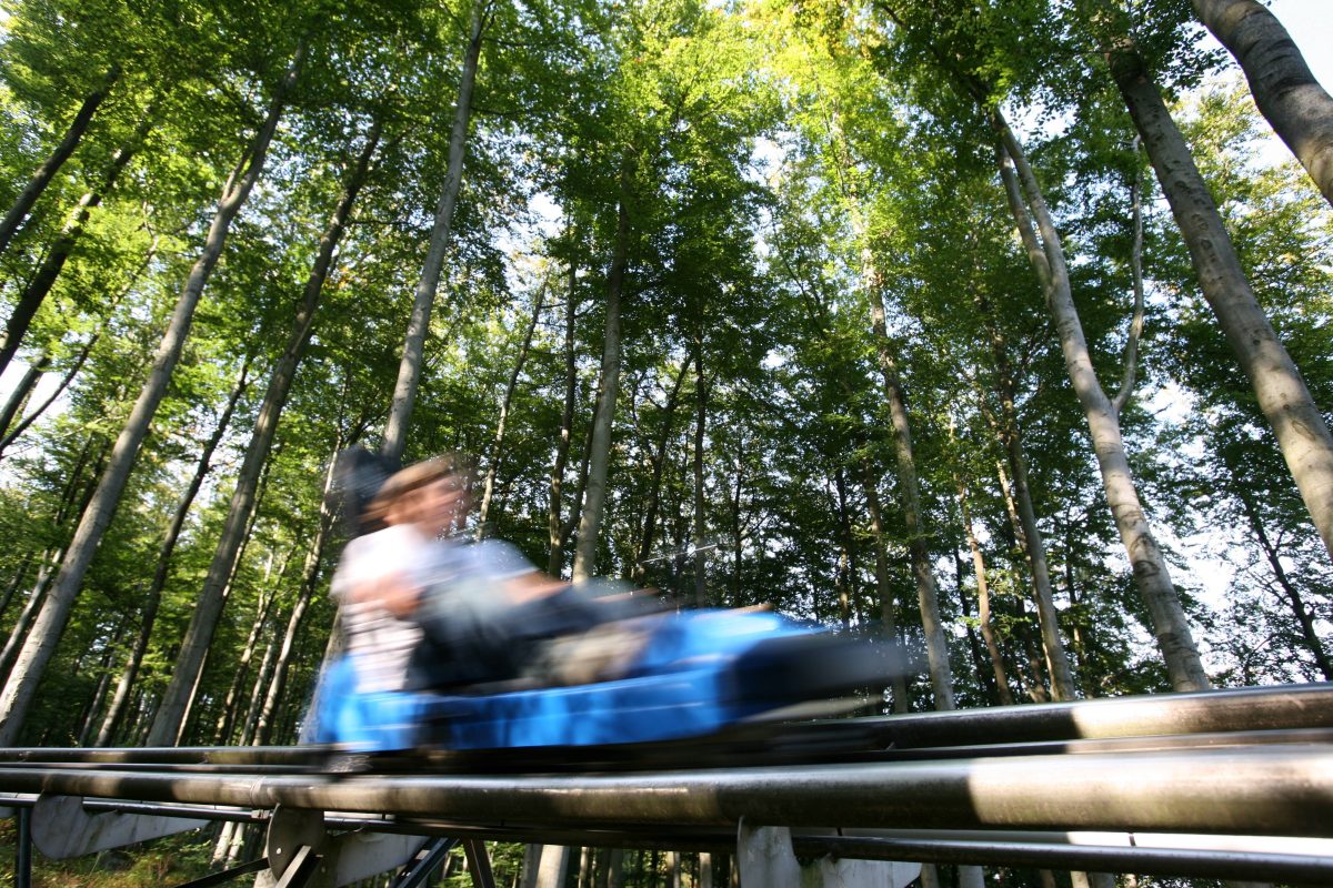 Harz Sommerrodelbahn