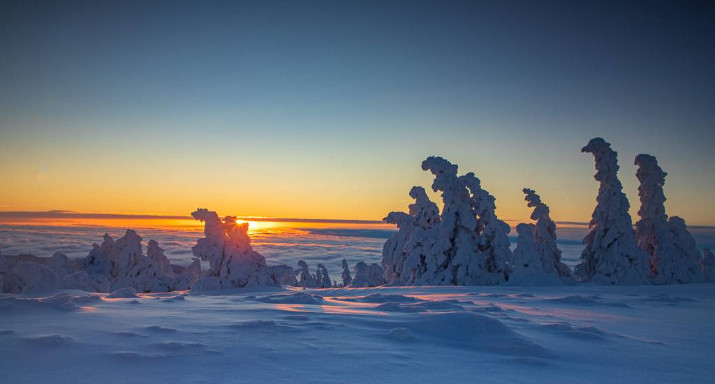 Harz