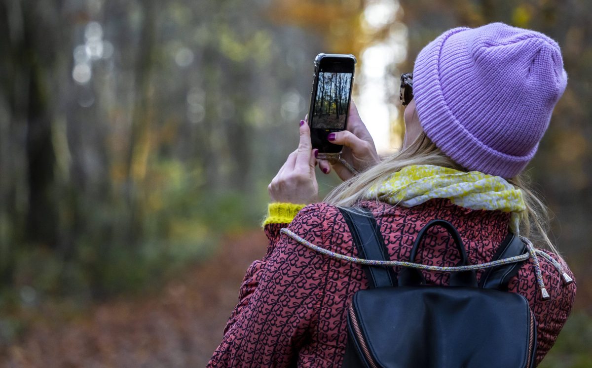 Eine Frau macht sich auf den Weg, um ein verschwundenes Dorf im Harz zu entdecken. Sie findet dessen Spuren – und ist sehr bewegt von dem Anblick...