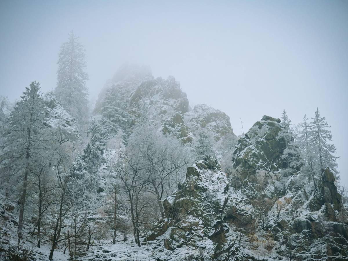 Harz