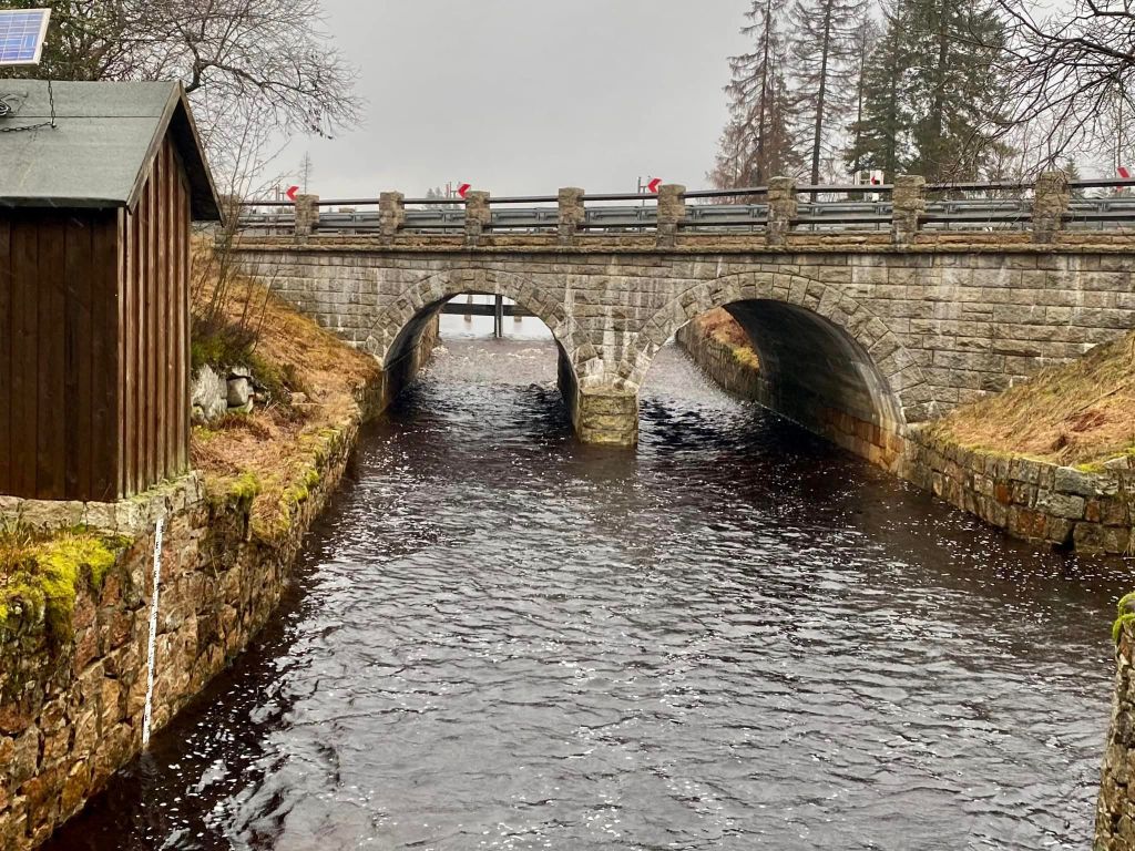 Harz 