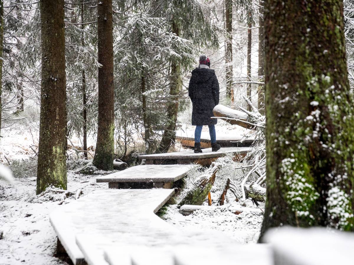 Eine "Schneewalze" rollt auf Deutschland zu - was bedeutet das für das Wetter in Niedersachsen?