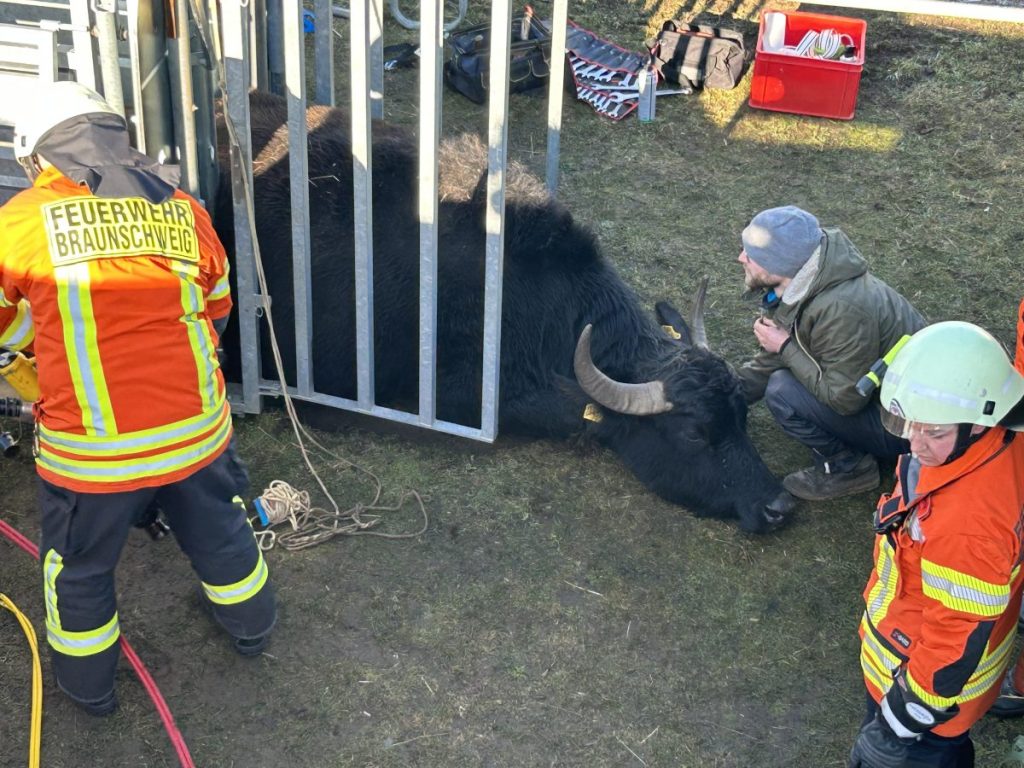 Tierischer Einsatz für die Feuerwehr Braunschweig und die Ortsfeuerwehren Dibbesdorf und Hondelage!