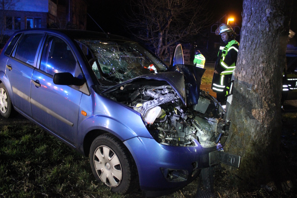 Der Ford landete zwischen Peine und Hildesheim an diesem Baum.