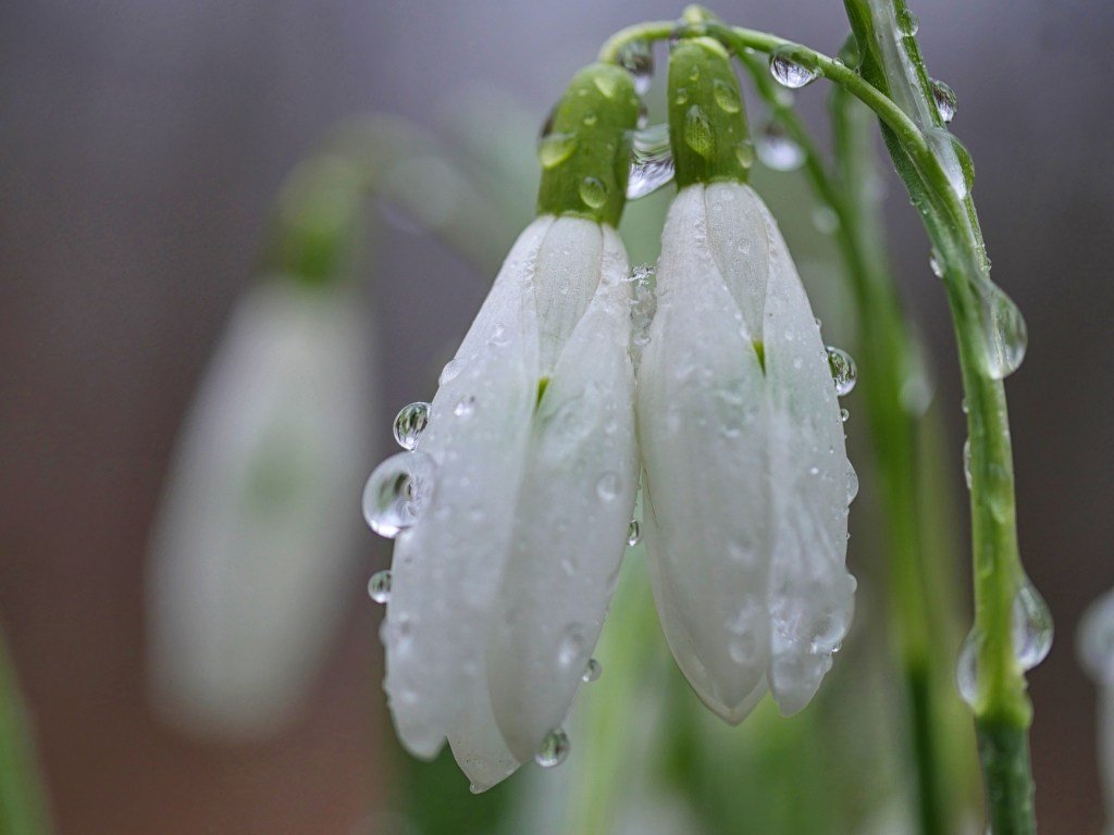 Wetter Harz 