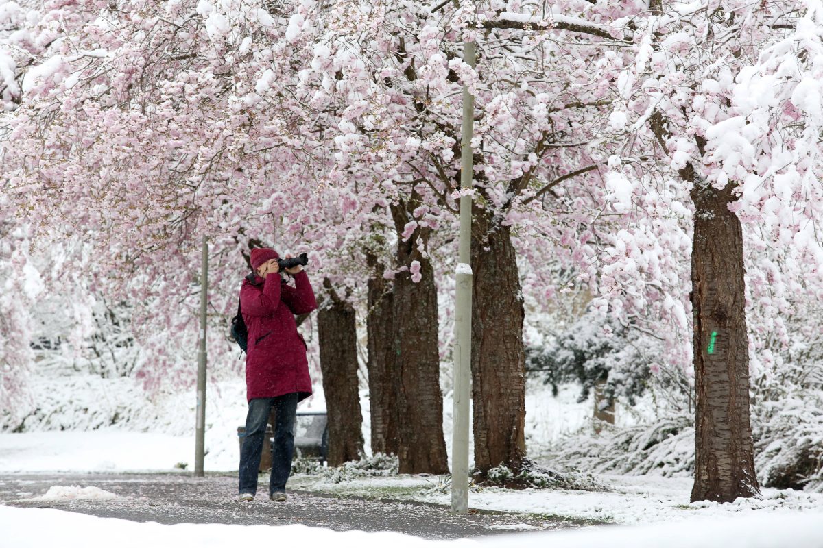 Frühling geht anders: Das Wetter in Niedersachsen muckt offenbar noch einmal auf. Womöglich starten wir absolut winterlich in den neuen Monat...