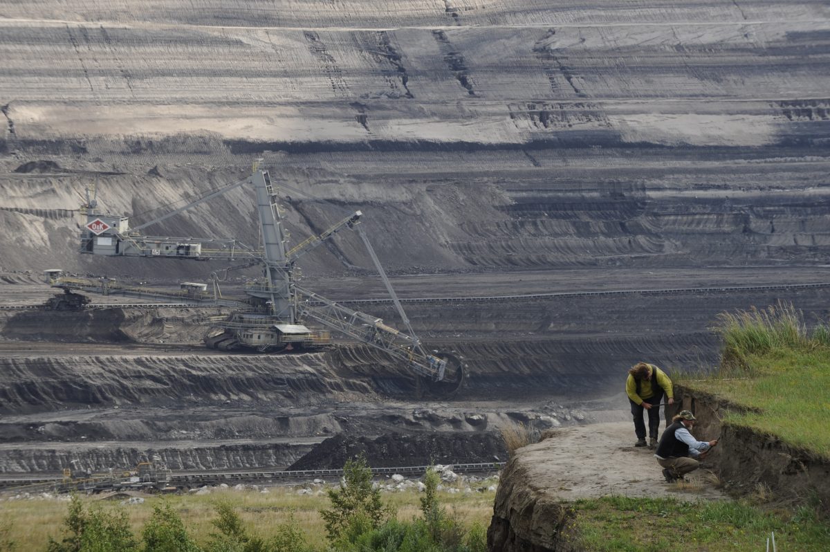 Forscher haben im Tagebau in Schöningen im Kreis Helmstedt eine außergewöhnliche Entdeckung gemacht! (Archivbild)