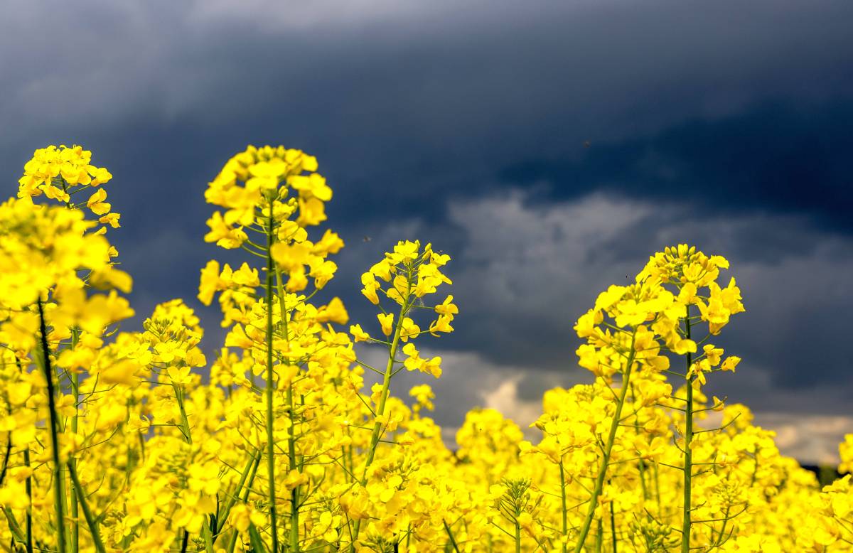 Wetter in Niedersachsen