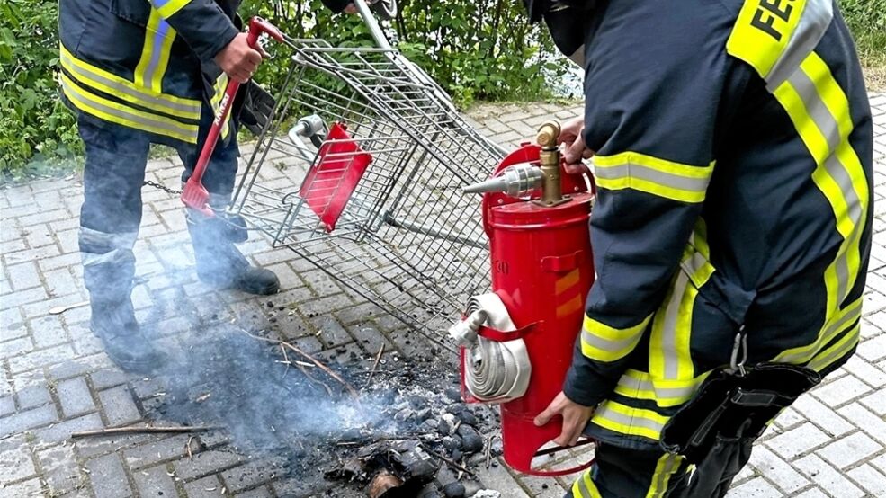 Unbekannte haben im Harz einen Penny-Einkaufswagen zweckentfremdet.