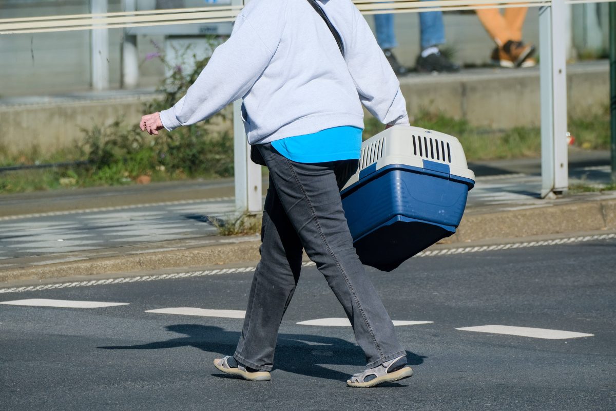 Frau mit Transportbox geht über eine Straße