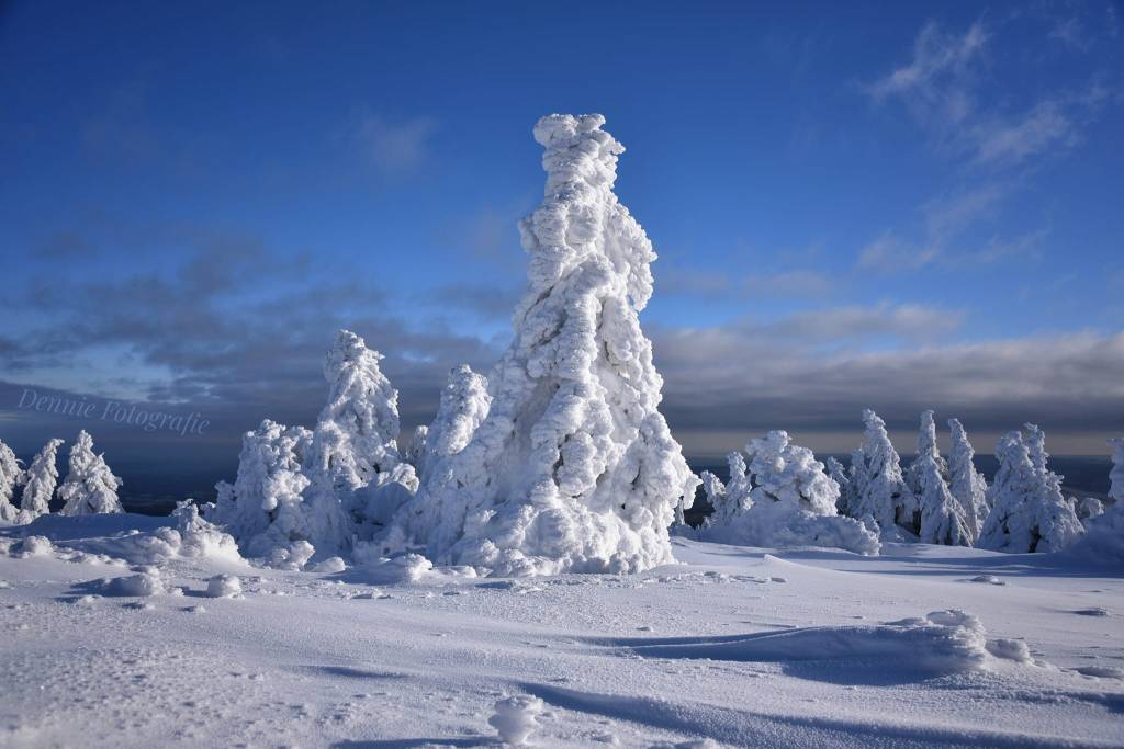 Harz 