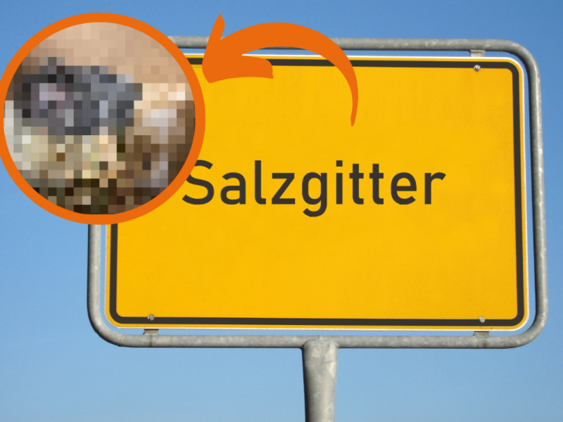 Salzgitter: Schock-Fund neben dem Müllcontainer! „Wie furchtbar“