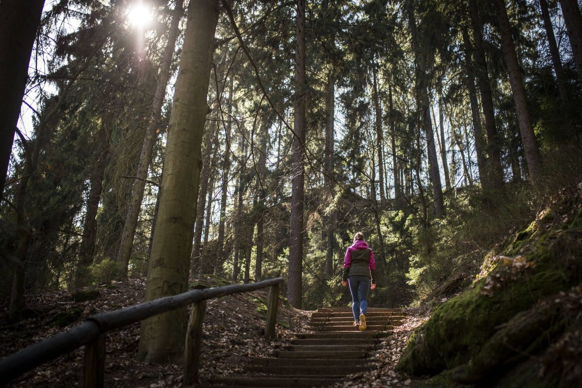 Eine Frau hat im Harz eine skurrile Entdeckung gemacht.