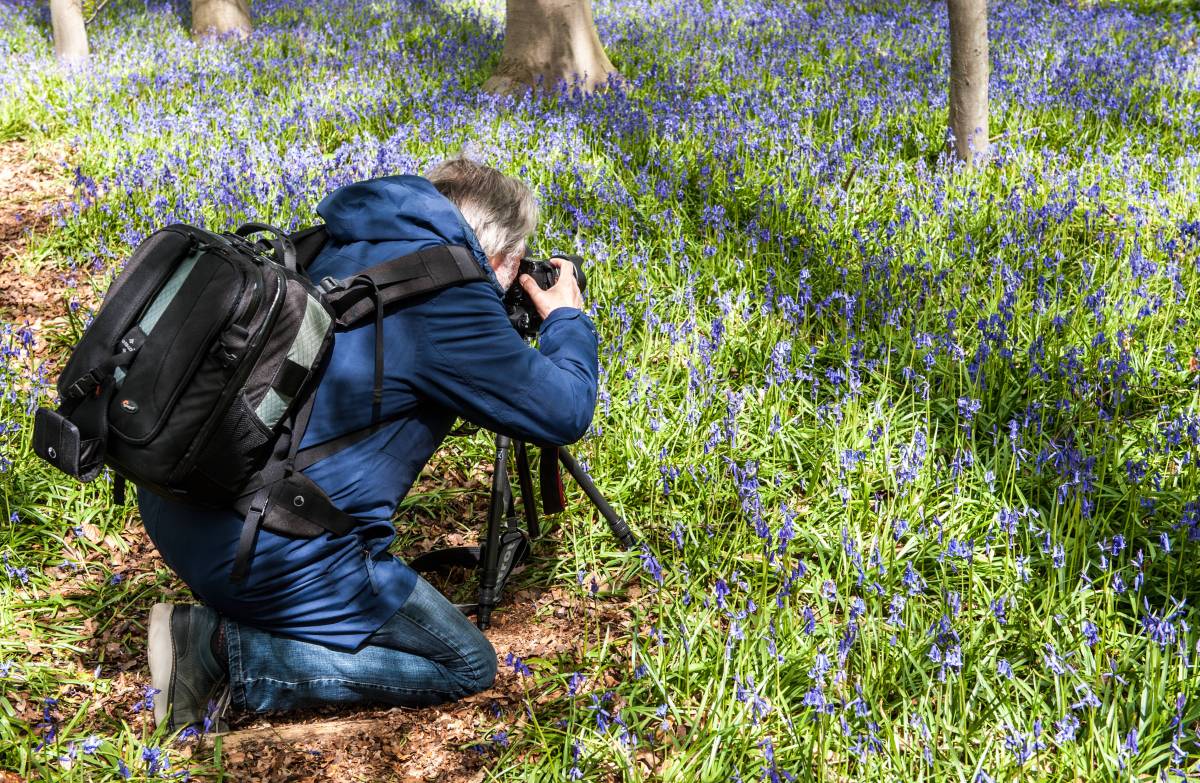 Fotograf im Wald