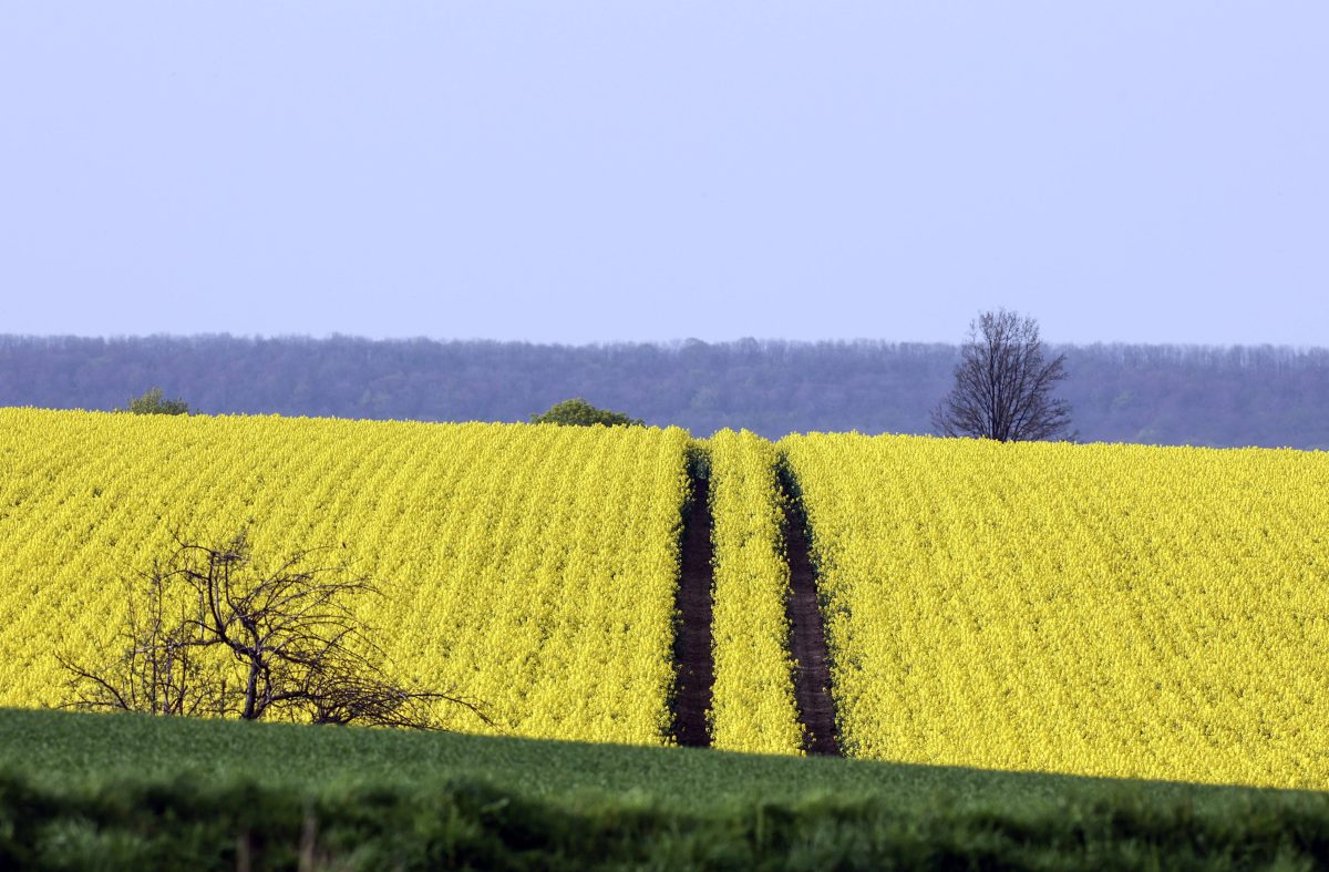 wetter in niedersachsen