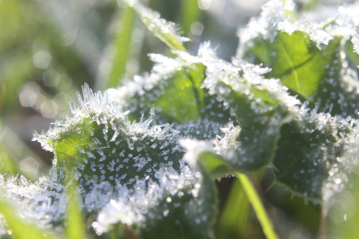 wetter niedersachsen