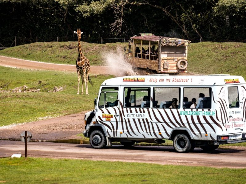 Serengeti-Park: Große Aufregung in Hodenhagen! Besucher werden es bemerken