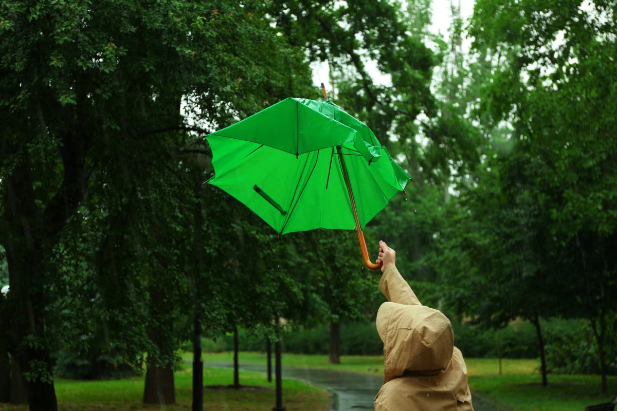 Wetter Niedersachsen