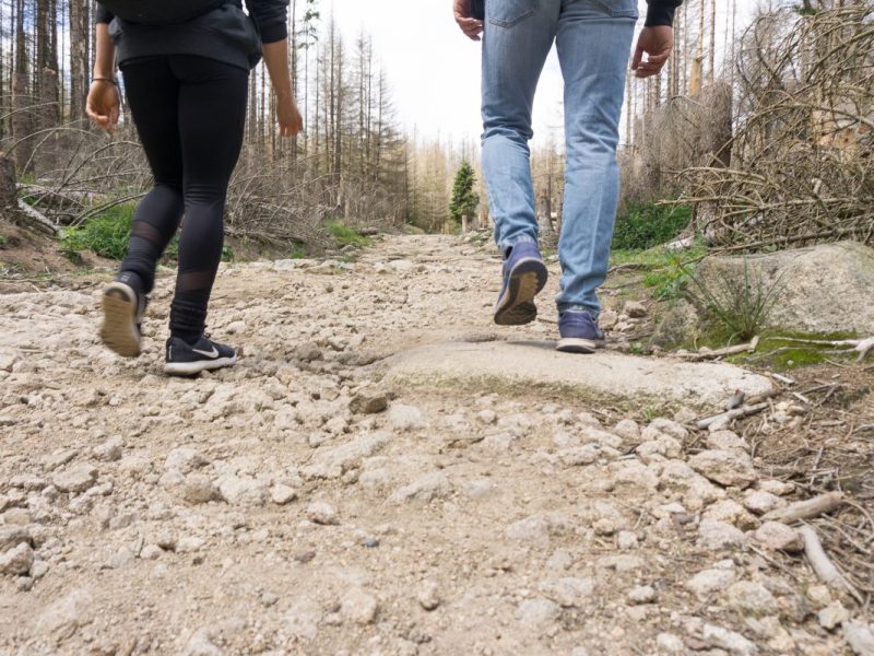 Harz: Hiobsbotschaft! Beliebter Brocken-Weg spontan dicht – es gibt gleich zwei Probleme