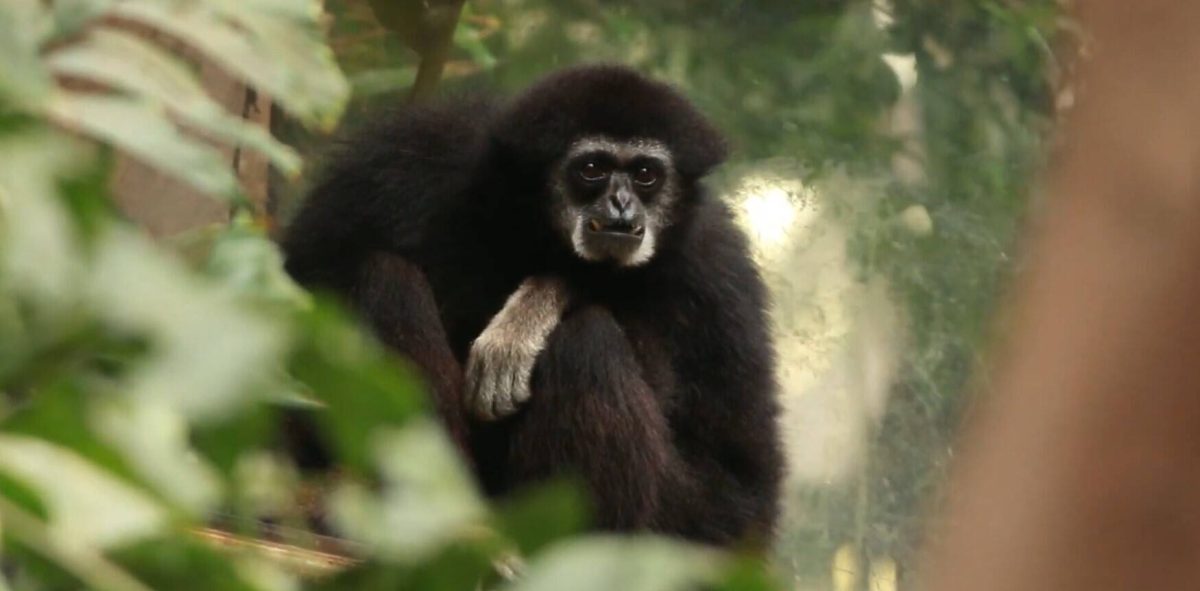 Zoo Braunschweig