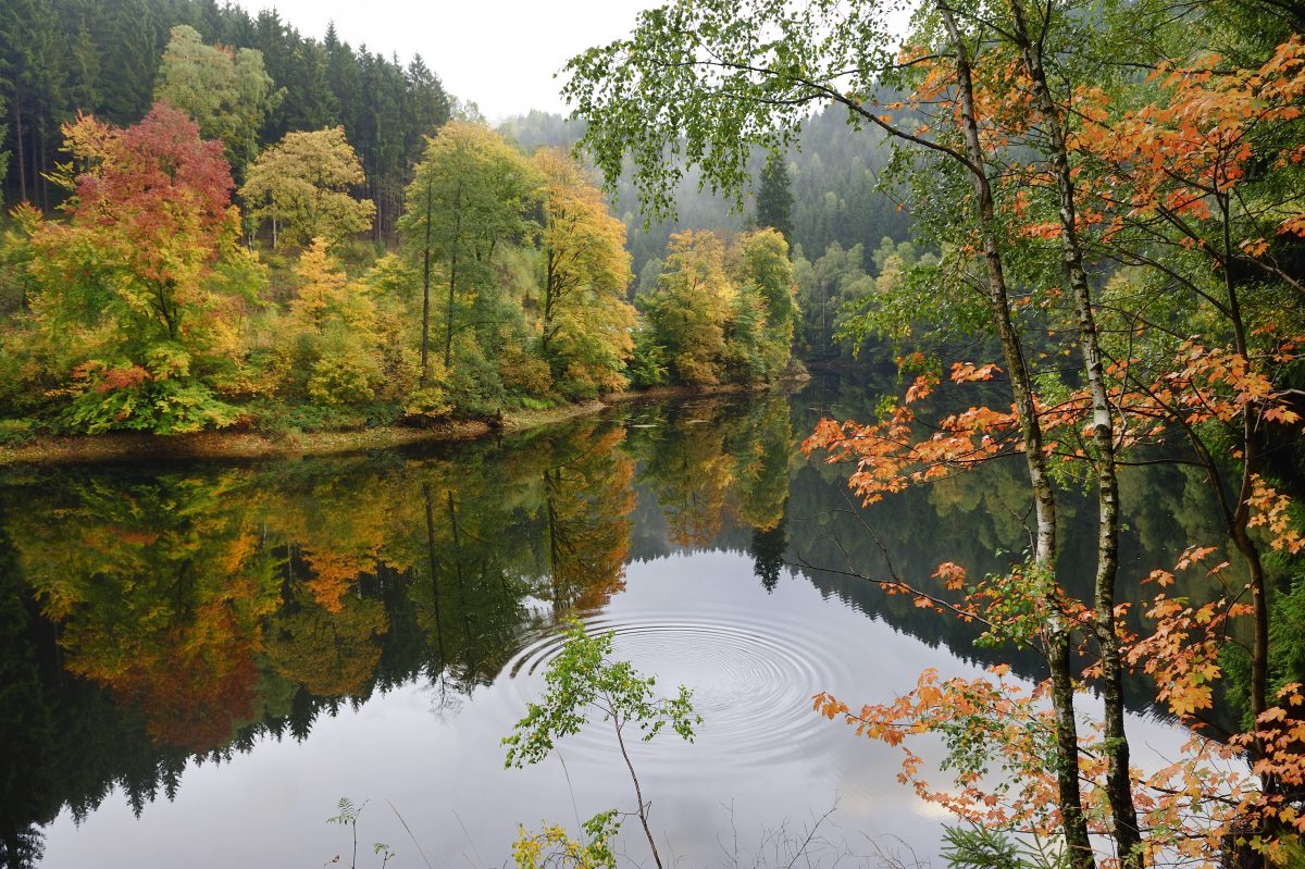 wetter november