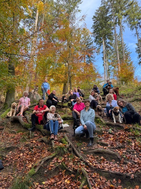 Ausflug im Wald