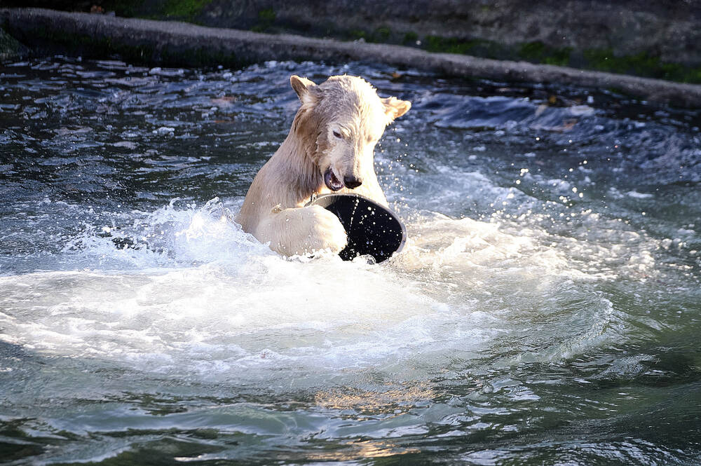 Zoo Hannover