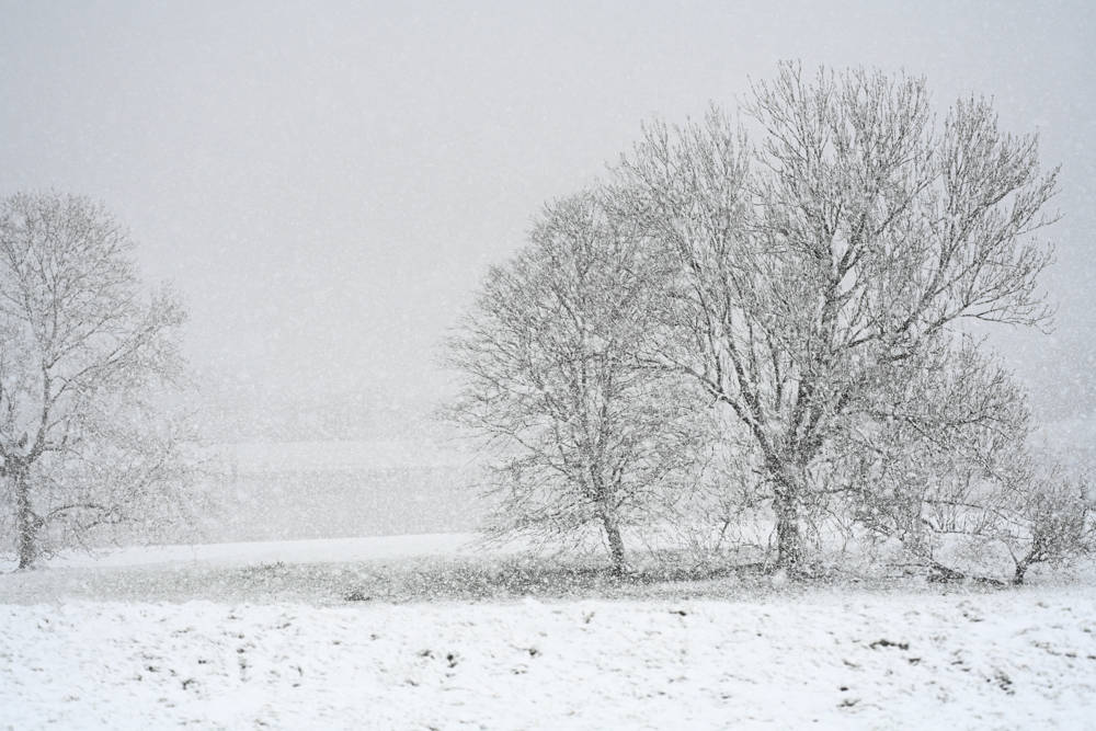 Wetter in Niedersachsen