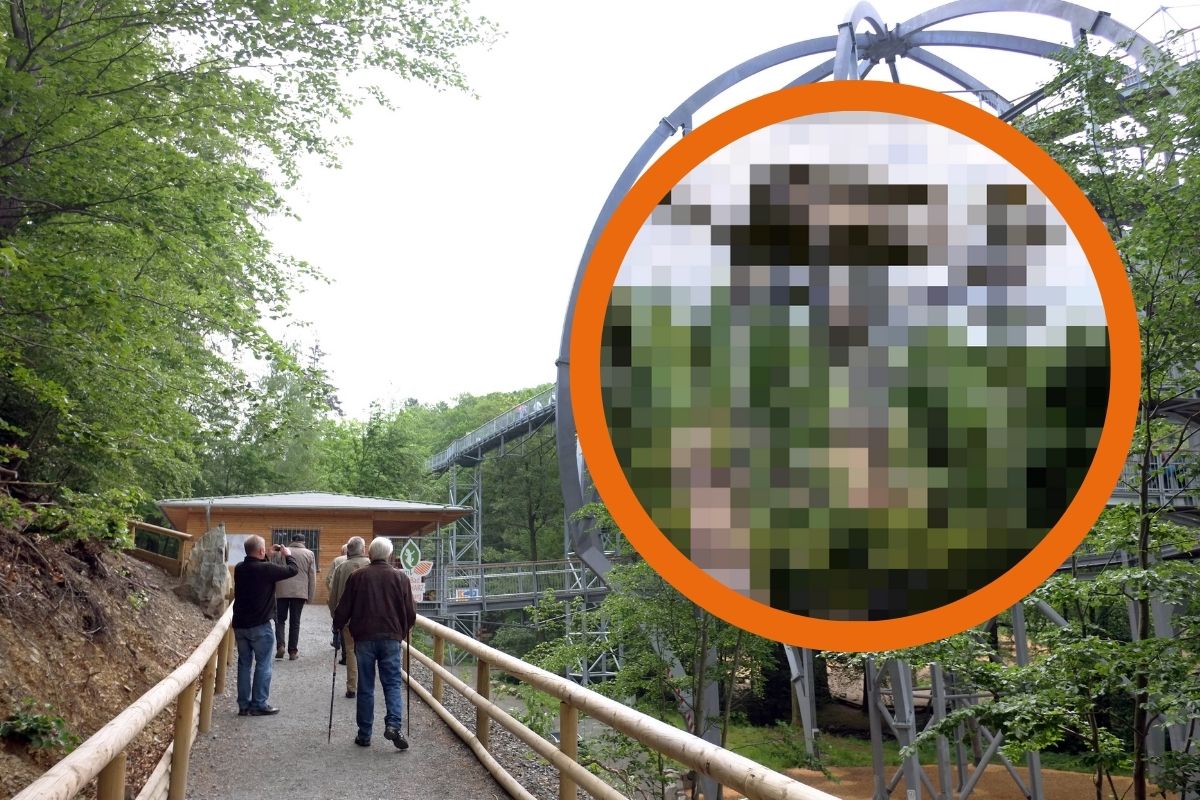 Harz-WipfelErlebnisWelt