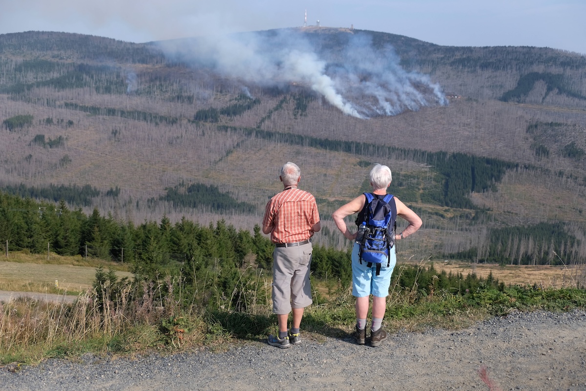Großfeuer im Harz 2024
