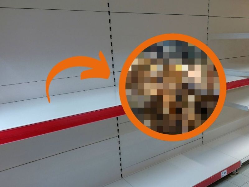 Peiner Tierschützer trauen ihren Augen kaum – „Standen hier echt sprachlos“