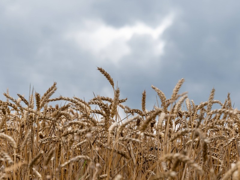 Wetter in Niedersachsen könnte üble Folgen haben! „Situation ist angespannt“